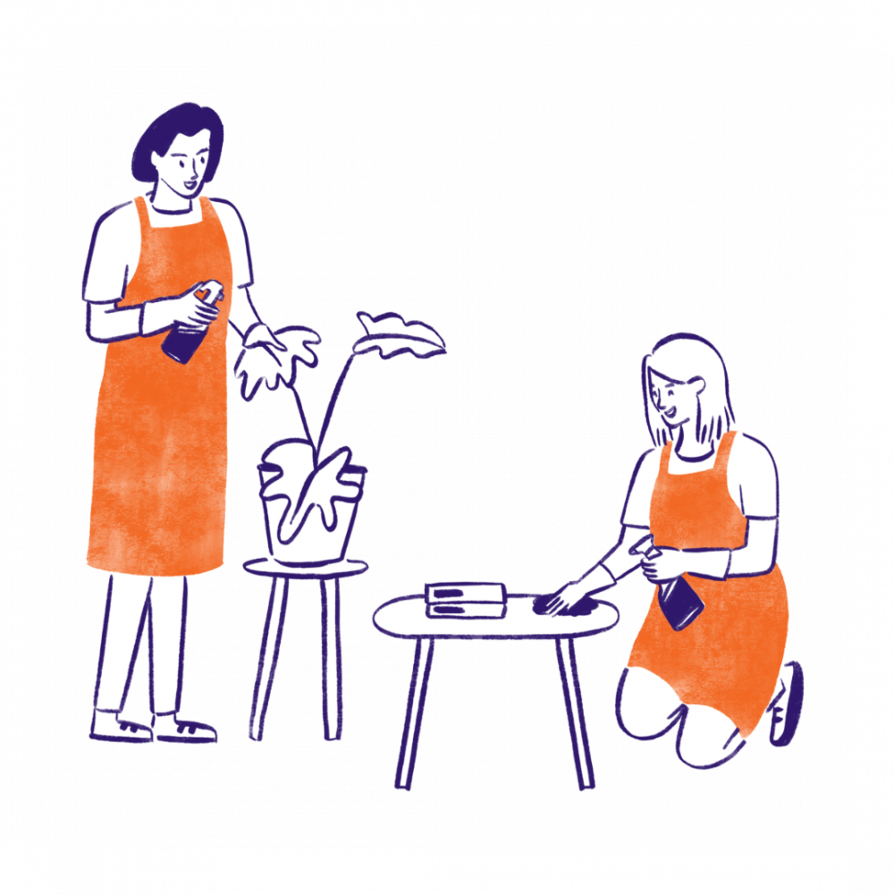 Absolute Domestics (3)