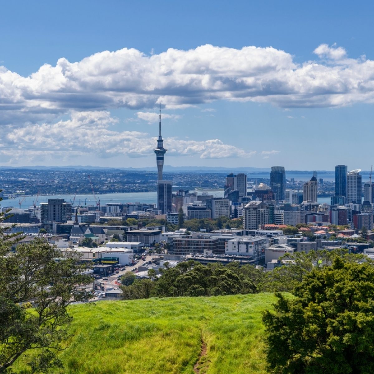 The,Skyline,Of,Auckland,,Seen,From,Mount,Eden,,New,Zealand The,Skyline,Of,Auckland,,Seen,From,Mount,Eden,,New,Zealand